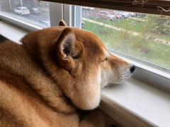 IMG_3307.jpeg