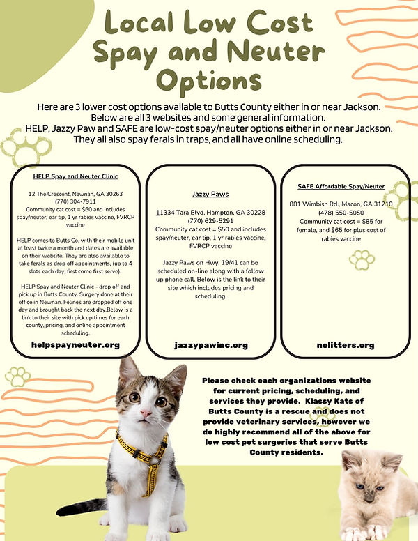 Local Low Cost Spay and Neuter Options.jpg