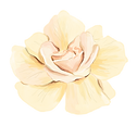 05Rose.png