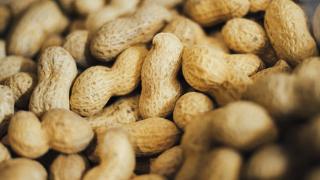 Peanut Allergy: