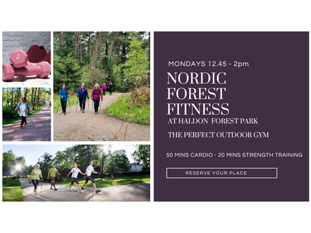Nordic Forest Fitness at Haldon Forest Park 