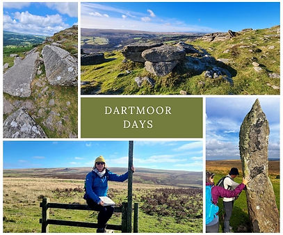 Fiona Swan - Dartmoor Days.jpg