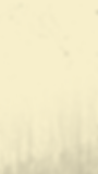 Naturwein.png