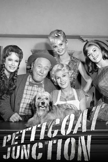 Petticoat Junction poster