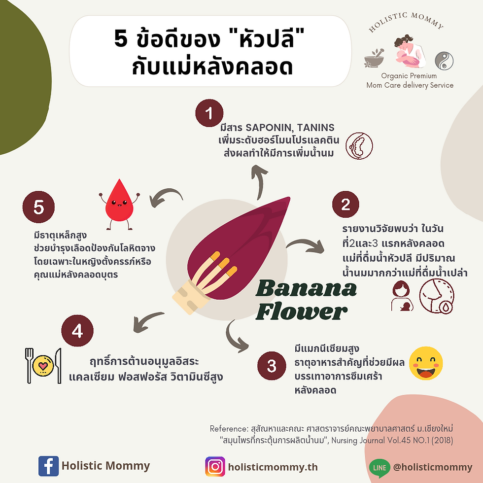 Thumbnail: ชาชง ขิงผสมหัวปลี เพิ่มน้ำนม