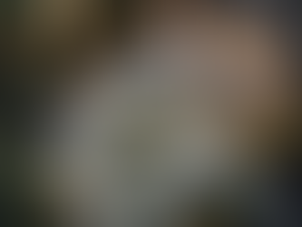 Elevate Your Landscaping with Our High-End Solutions