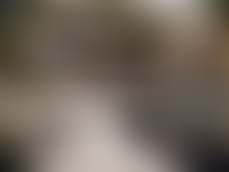 Experience Luxury Landscaping Services with Little Projects