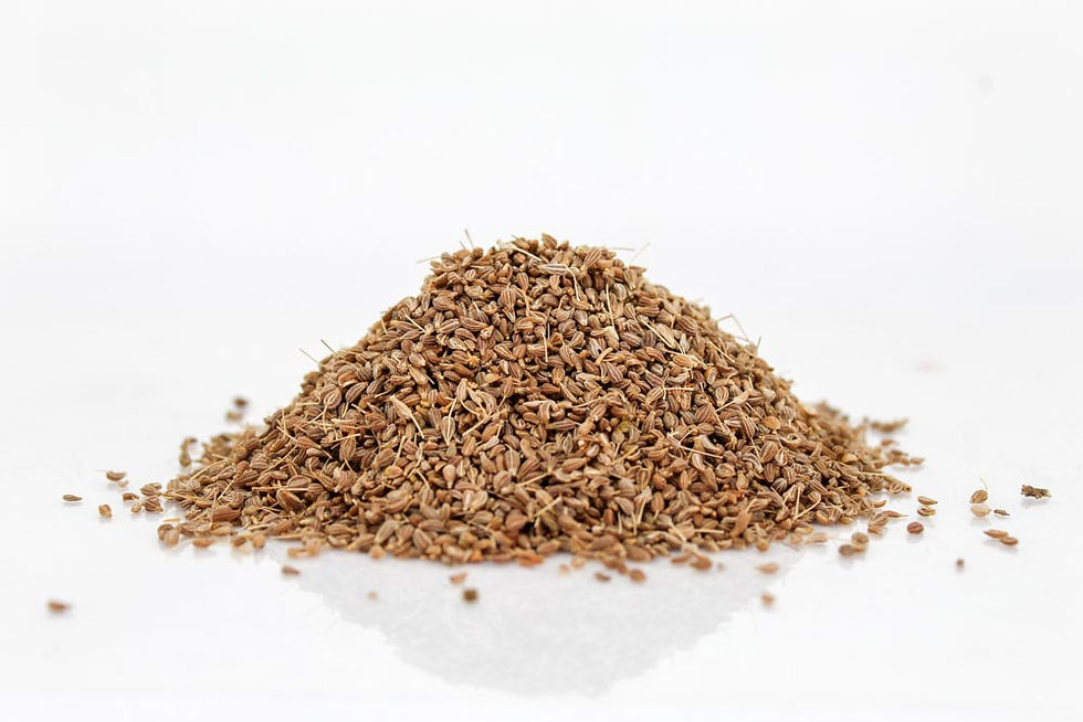 ANIS ESPAÑOL C.O. / aniseed