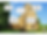IMG_5066.PNG