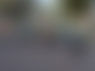 L'animation gratuite se poursuit!