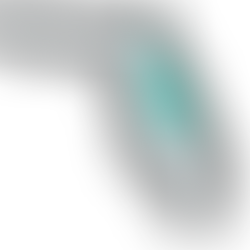 Understanding Florida’s Most Common Pest Infestations: A Comprehensive County-by-County Guide