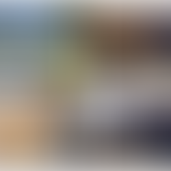 How Much Does Pest Control Cost in Orlando, FL?