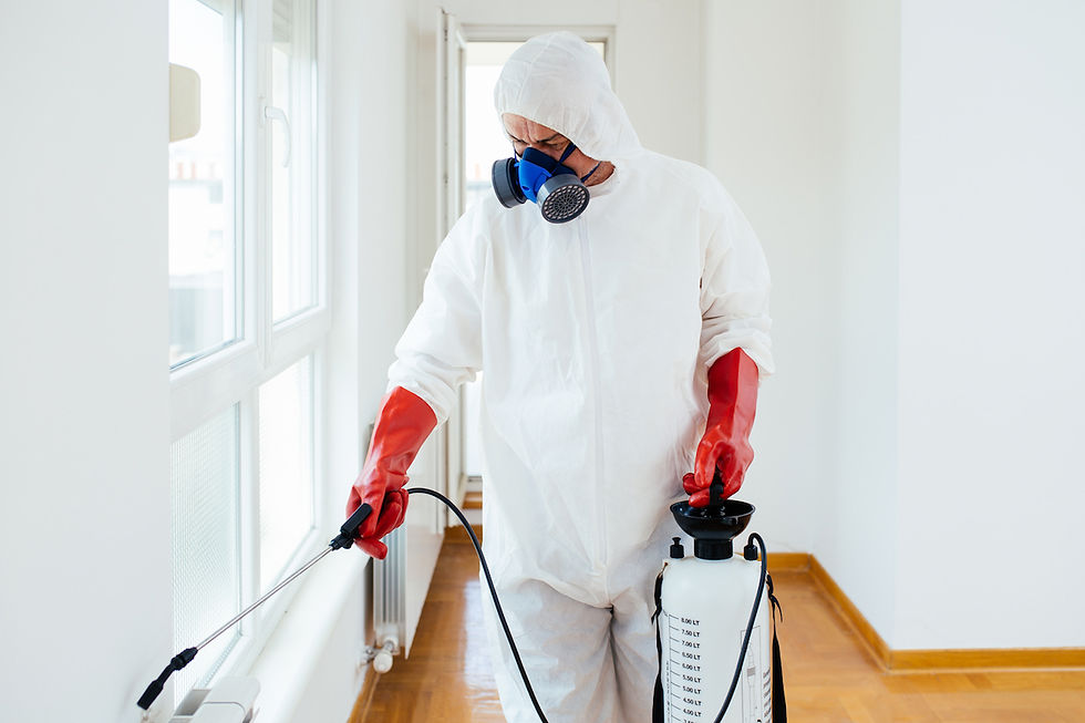 exterminator image