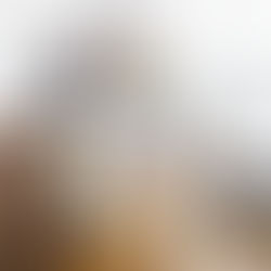 The Essential Guide to Pest Inspection BeforeMoving In