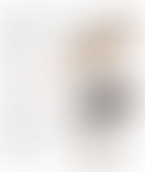 What Is The Difference Between Rats and Mice