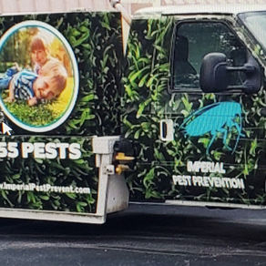 Do I need a Lawn Spray Service in Florida?