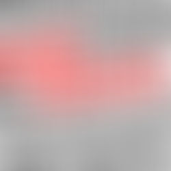 What are the most common bugs in Florida?