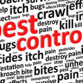 What are the most common bugs in Florida?