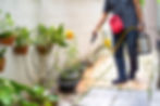 Ant Nest Location and pest control spray Imperial Pest Prevention