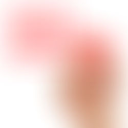 How Much Does Pest Control Cost In Florida?