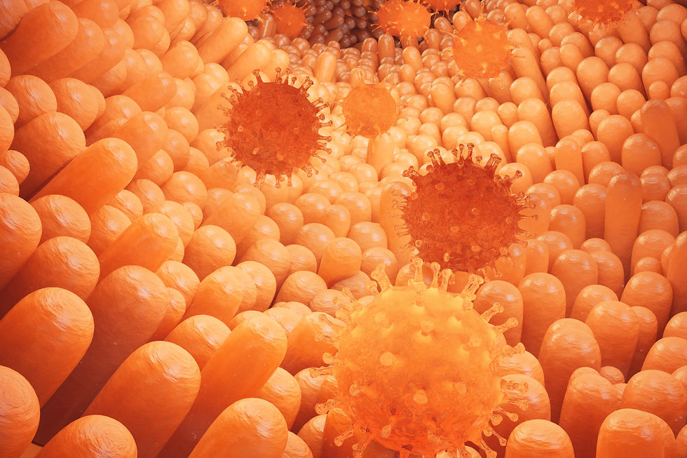 3D illustration Intestinal villi. Intestine lining