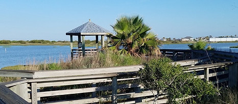 Wetland Park.jpg