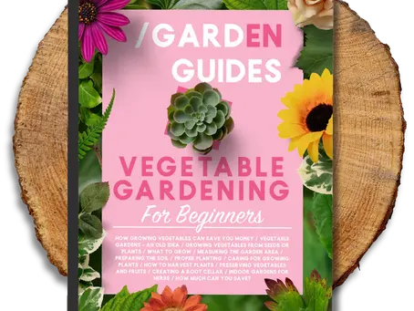 Gardening for Beginners