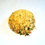 Thumbnail: Bacon Cheddar Chive Dip Mix