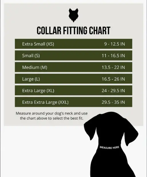 Thumbnail: Ragnar Dog Collar