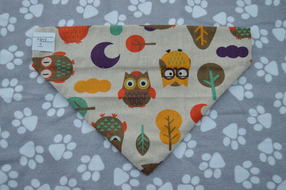 Thumbnail: Woodland Owls Pet Bandana