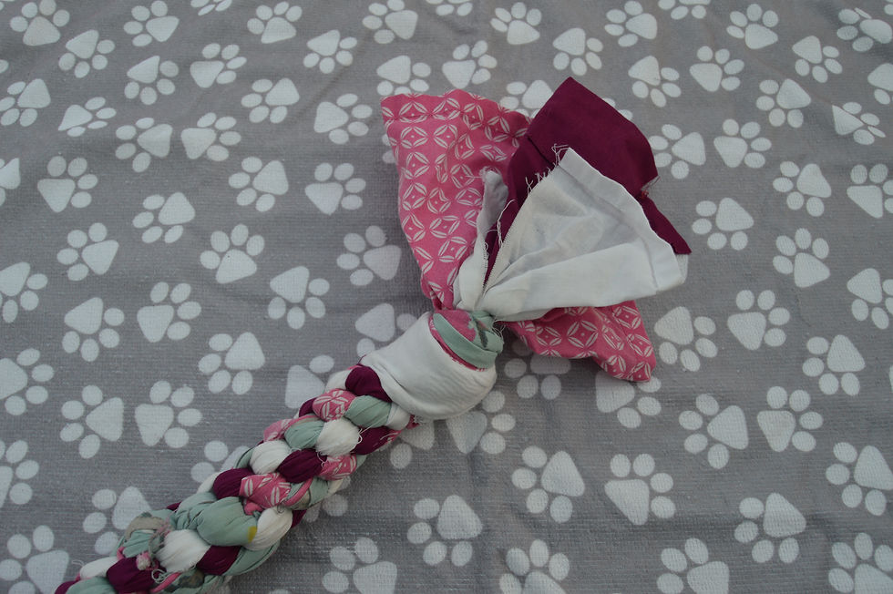 Thumbnail: Blue, Pink and White Medium Tug Toy