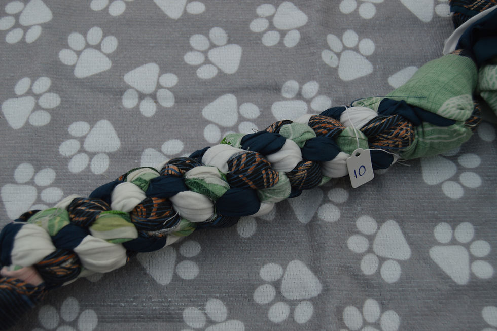 Thumbnail: Blue, Green and White Medium Tug Toy