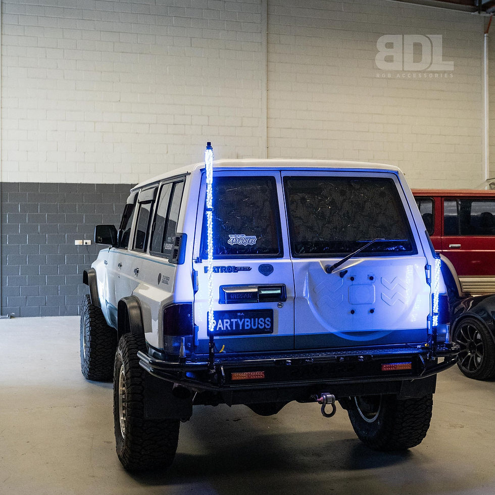 BushDoof 4ft LED Whip Lights