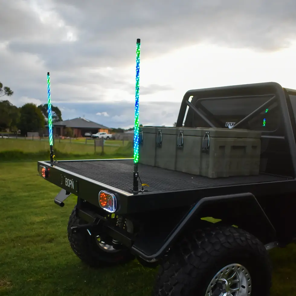 Thumbnail: BushDoof 3ft LED Whip Lights