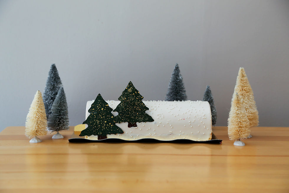 Cherry Chocolate Mousse Yule Log European Café