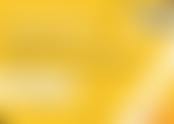 Polo Iguassu conclui capacitação em comunicação estratégica e reforça compromisso com a excelência no Terceiro Setor