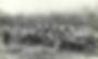 Whiteways workers in orchard with horses and carts