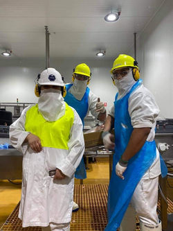 224704326_202856191784270_7572196210601325243_n