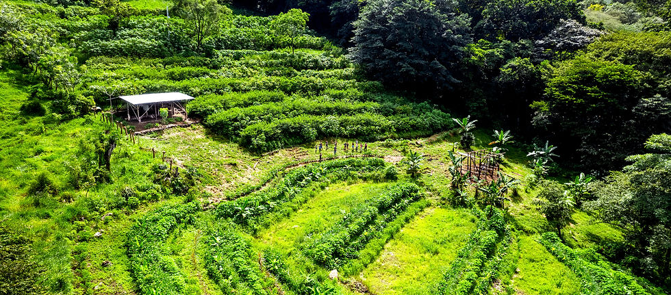 Farm_Web4.jpg