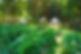 Farm2_Web25.JPG