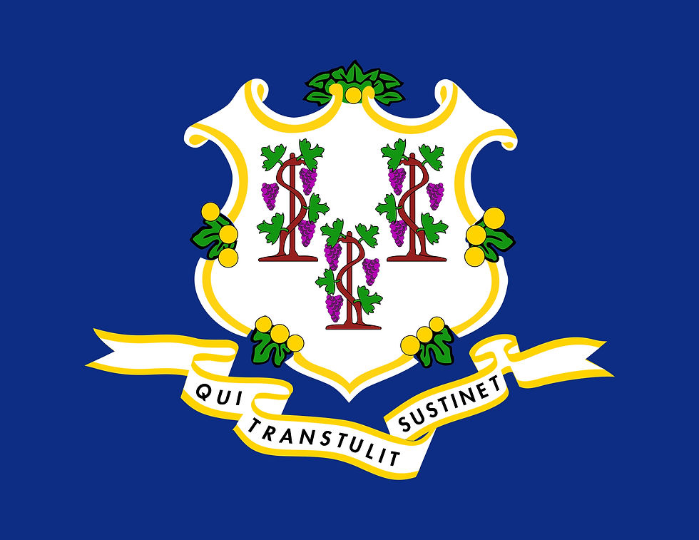 Thumbnail: State Flag Collar A -L