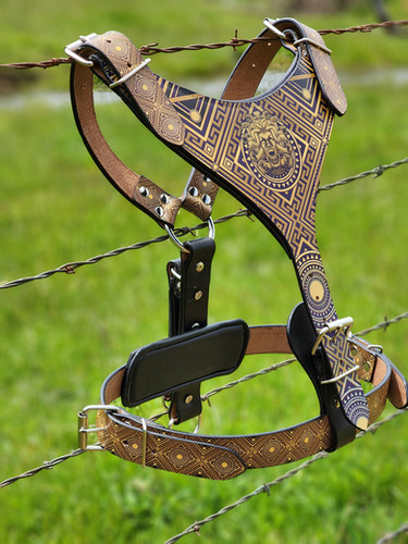 Medusa Combo Pack | mymadcow