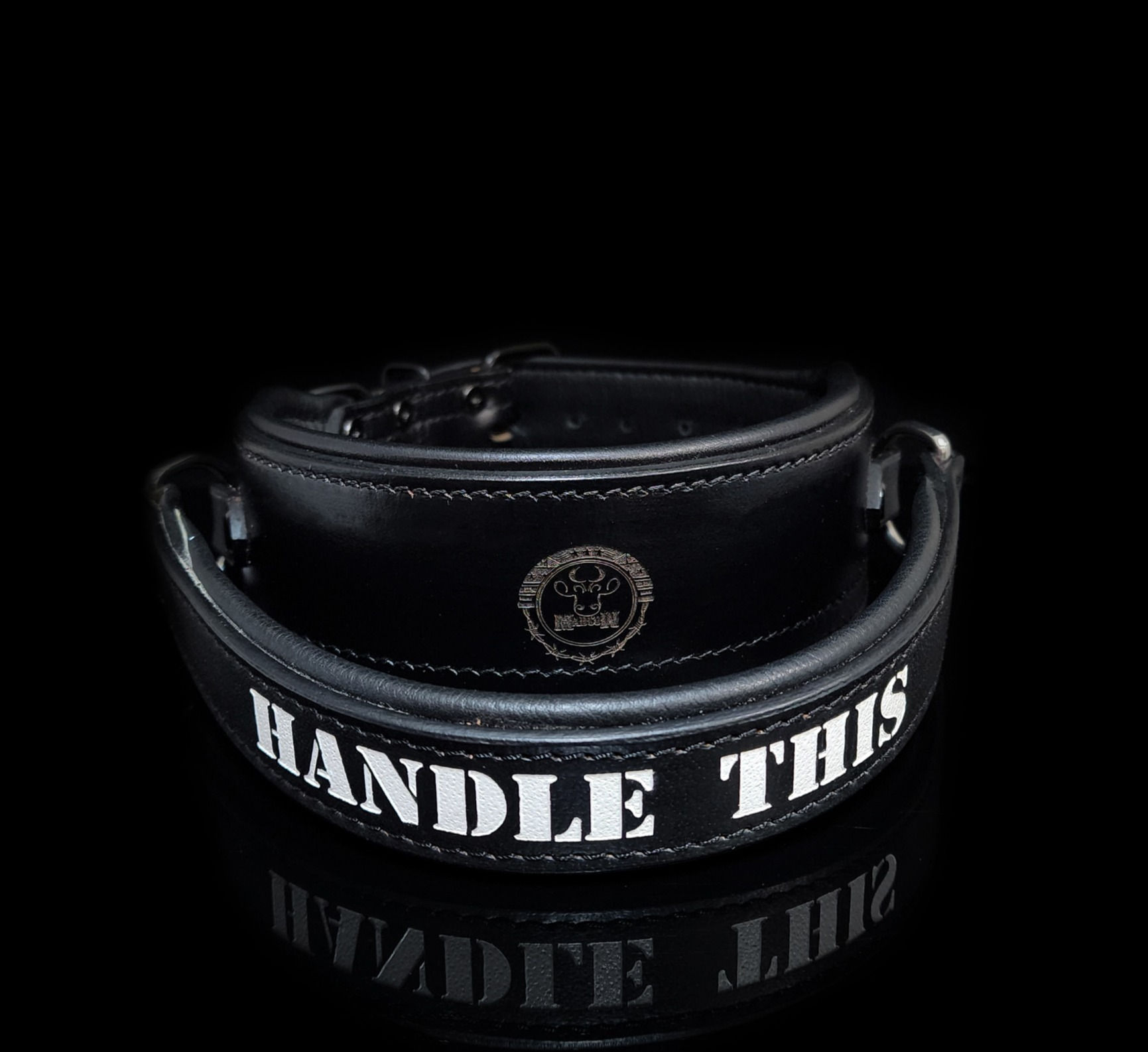 Training Collar Black