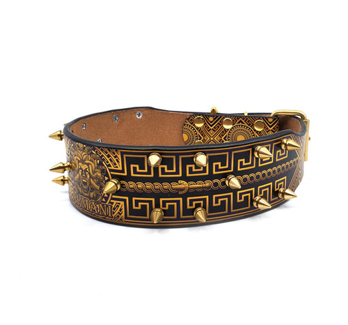 Medusa Combo Pack | mymadcow