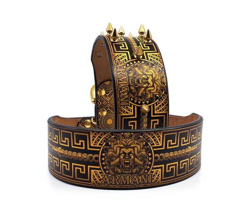 Medusa Combo Pack | mymadcow