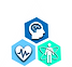Hexagonos a Color Mente Cuerpo y E fondo blanco.png