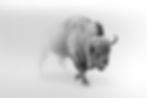 AdobeStock_212433478.jpeg