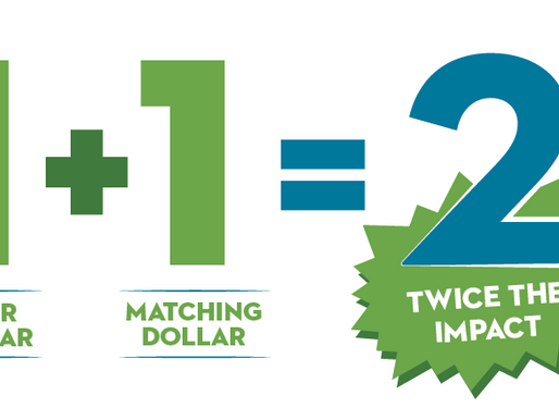 Double Contribution with Matching Program