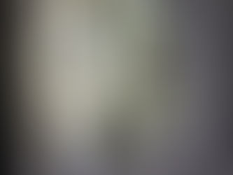 愛媛県アジングゲーム