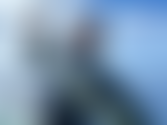 ビンナガマグロ釣果